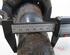 Suspension Strut RENAULT Trafic II Kasten (FL)