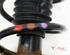 Suspension Strut RENAULT KANGOO Express (FW0/1_)