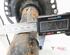 Suspension Strut RENAULT KANGOO Express (FW0/1_)