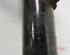 Suspension Strut RENAULT CLIO IV (BH_)