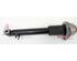 Shock Absorber BMW X5 (E70), BMW X6 (E71, E72)