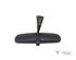 Interior Rear View Mirror FIAT 500X (334_), FIAT QUBO (225_)