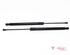 Bootlid (Tailgate) Gas Strut Spring VW Golf VII (5G1, BE1, BE2, BQ1)