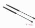 Bootlid (Tailgate) Gas Strut Spring RENAULT Twingo III (BCM)