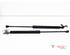 Bootlid (Tailgate) Gas Strut Spring RENAULT Captur I (H5, J5), RENAULT Clio IV (BH)