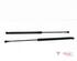 Bootlid (Tailgate) Gas Strut Spring SEAT Ibiza IV (6J5, 6P1), SEAT Ibiza IV Sportcoupe (6J1, 6P5)