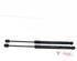 Bootlid (Tailgate) Gas Strut Spring HYUNDAI i20 (PB, PBT)