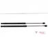 Bootlid (Tailgate) Gas Strut Spring FORD Fiesta VI (CB1, CCN)