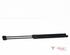 Bootlid (Tailgate) Gas Strut Spring VW Polo (6C1, 6R1)