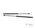 Bootlid (Tailgate) Gas Strut Spring OPEL ADAM (M13)