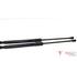 Bootlid (Tailgate) Gas Strut Spring CITROËN C3 III (SX), CITROËN C3 II (SC_)