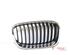 Radiator Grille BMW 1 (F21)