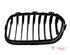 Radiator Grille BMW 1 (F21)