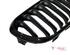 Radiator Grille BMW 1 (F21)