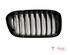 Radiator Grille BMW 1 (F21)