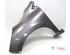 Wing RENAULT CLIO IV (BH_), RENAULT CAPTUR I (J5_, H5_), RENAULT CLIO III (BR0/1, CR0/1)