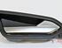 Door Handle RENAULT Clio V (BF)