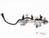 Petrol Fuel Rail RENAULT Captur I (H5, J5), RENAULT Clio IV (BH)