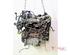 Motor kaal RENAULT Clio III (BR0/1, CR0/1), RENAULT Clio IV (BH)