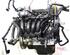 P19704564 Motor ohne Anbauteile (Benzin) VW Polo V (6R, 6C) 036129709JF