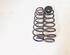 Coil Spring SEAT IBIZA IV (6J5, 6P1), SEAT IBIZA IV SC (6J1, 6P5), SEAT IBIZA IV ST (6J8, 6P8)