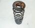 Coil Spring VW GOLF VI (5K1), VW GOLF VI Van (5K1_), VW GOLF V (1K1)