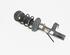 Suspension Strut VW GOLF VII (5G1, BQ1, BE1, BE2)