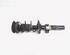 Suspension Strut VW POLO (AW1, BZ1)