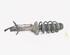 Shock Absorber AUDI TT (8N3)