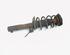 Shock Absorber VW GOLF V (1K1), VW GOLF VI (5K1)