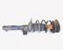 Shock Absorber AUDI A3 Limousine (8VS, 8VM)