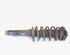 Shock Absorber VW PASSAT B7 Variant (365)