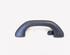 Grab Handle VW GOLF V (1K1), VW GOLF VI (5K1), VW GOLF VAN VI Variant (AJ5), VW GOLF VI Van (5K1_)