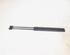 Gas Spring AUDI A4 Allroad (8KH, B8)