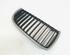 Radiator Grille BMW 3er Touring (E91)