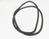 Door Seal VW TOURAN (1T1, 1T2), VW TOURAN (1T3), VW TOURAN (5T1)