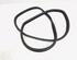 Door Seal LAND ROVER Range Rover Sport (L320)