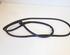 Door Seal FORD RANGER (TKE)