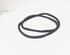 Door Seal VW PASSAT B7 Variant (365), VW PASSAT ALLTRACK B7 (365)