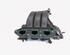 Intake Manifold VW POLO (AW1, BZ1)