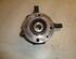 Stub Axle RENAULT CLIO II (BB_, CB_)