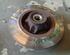 Wheel Bearing PEUGEOT 308 I (4A_, 4C_), PEUGEOT 308 SW I (4E_, 4H_)