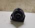 Dynamo (Alternator) RENAULT TWINGO I (C06_), RENAULT CLIO II (BB_, CB_), RENAULT KANGOO (KC0/1_)