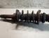 Suspension Strut FORD FIESTA IV (JA_, JB_)