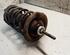 Suspension Strut FORD FIESTA IV (JA_, JB_)