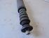 Shock Absorber RENAULT CLIO III (BR0/1, CR0/1)