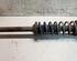 Shock Absorber FORD FIESTA IV (JA_, JB_)