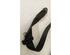 Safety Belts RENAULT KANGOO (KC0/1_)