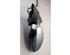 Wing (Door) Mirror SEAT IBIZA III (6L1)