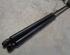 Gas Spring RENAULT MEGANE II Estate (KM0/1_)